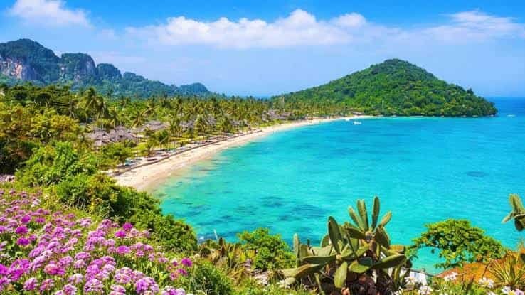 Best Time to Visit Andaman and Nicobar Islands: A Complete Seasonal Travel Guide