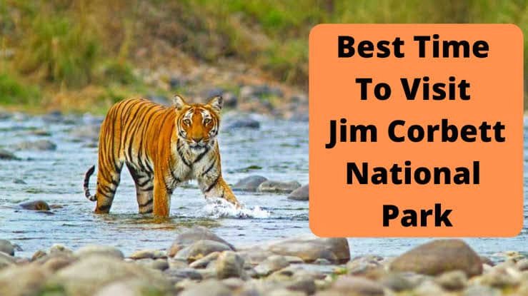 Best Time to Visit Jim Corbett