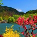 Best Time to Visit Nainital