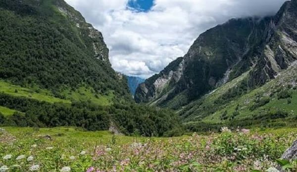 Best Time to Visit Valley of Flowers: A Complete Seasonal Travel Guide