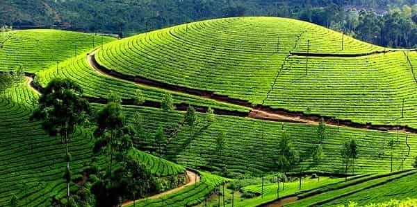 Visit Kerala