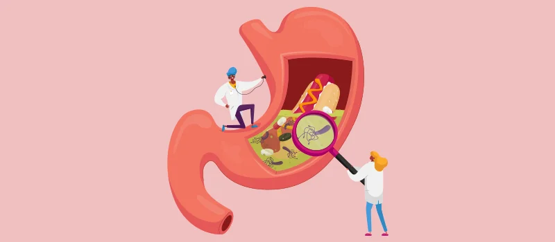 How Long Does Food Take To Digest Completely